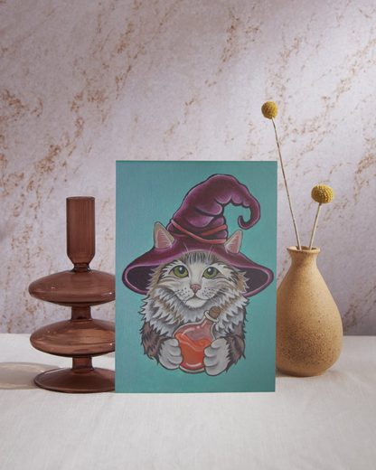 Wizard Cat
